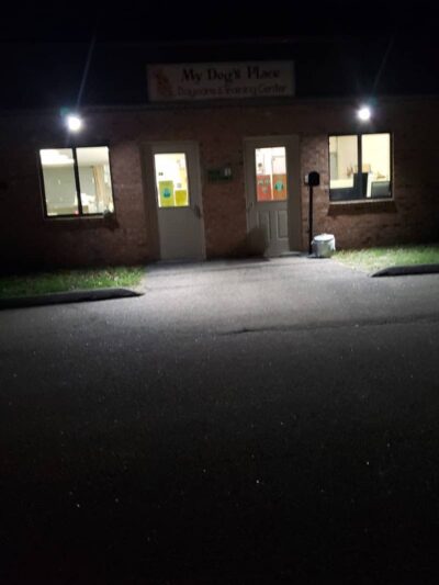 My Dog's Place - Stonington, CT