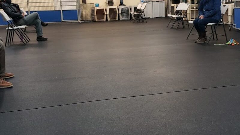 My Dog's Place - Stonington, CT