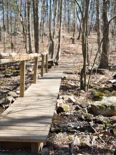 Paffard Woods - Stonington, CT