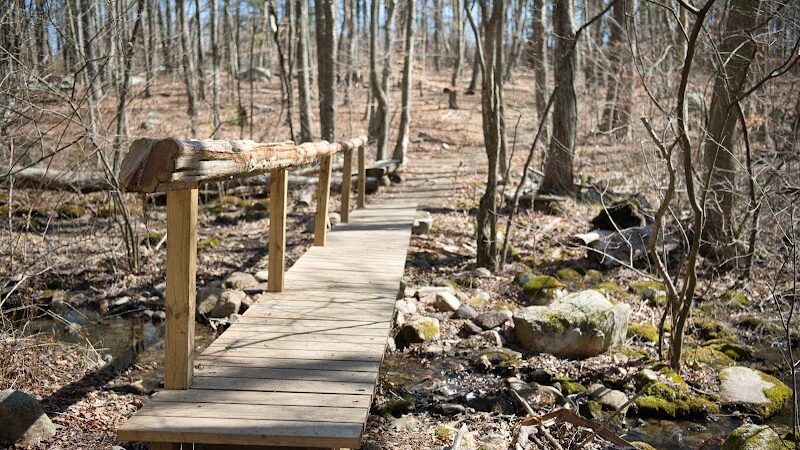 Paffard Woods - Stonington, CT