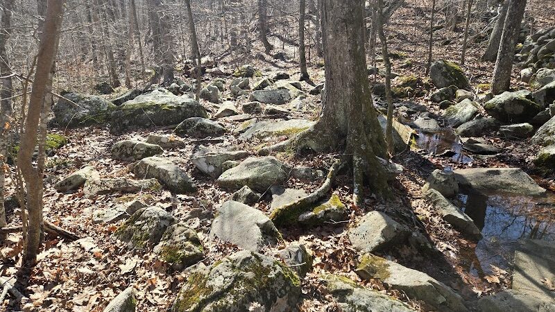 Paffard Woods - Stonington, CT