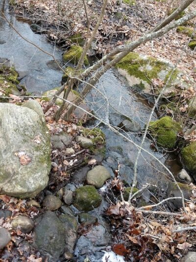 Paffard Woods - Stonington, CT