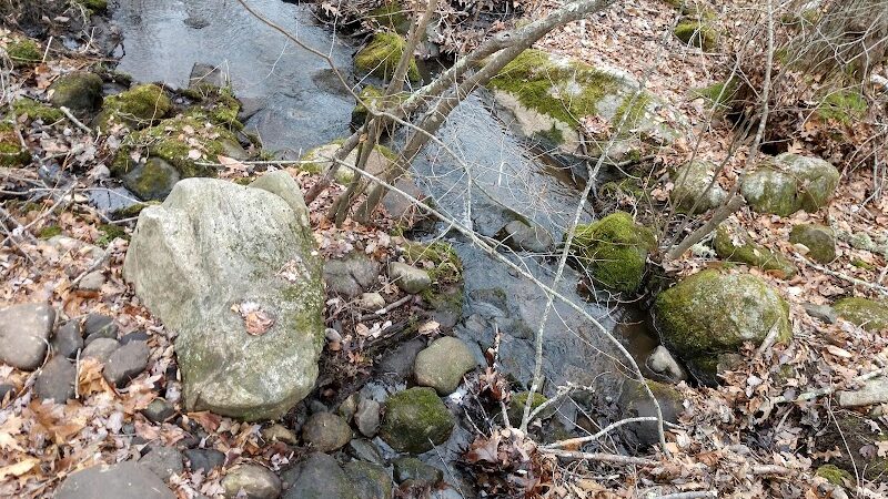 Paffard Woods - Stonington, CT