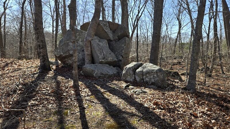 Paffard Woods - Stonington, CT