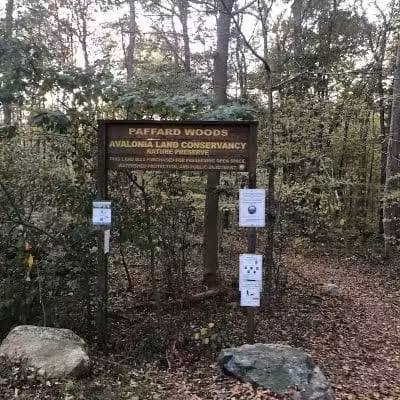 Paffard Woods - Stonington, CT