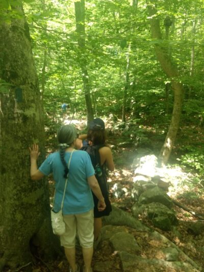 Paffard Woods - Stonington, CT