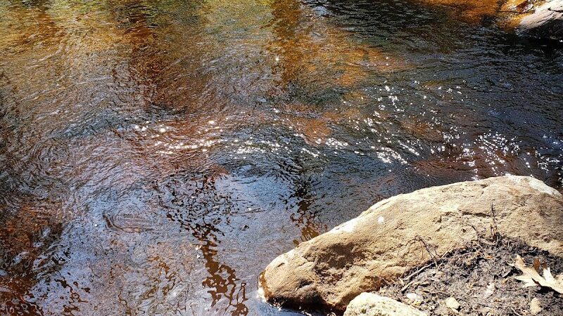 Paffard Woods - Stonington, CT