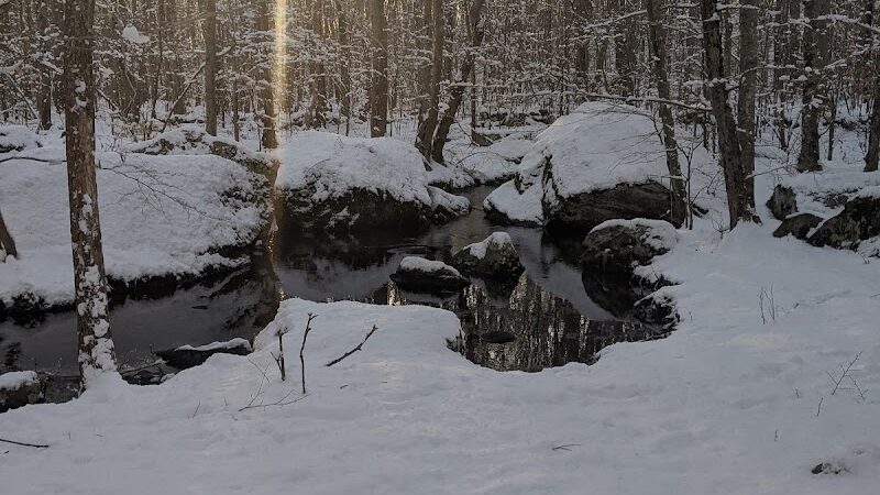 Paffard Woods - Stonington, CT