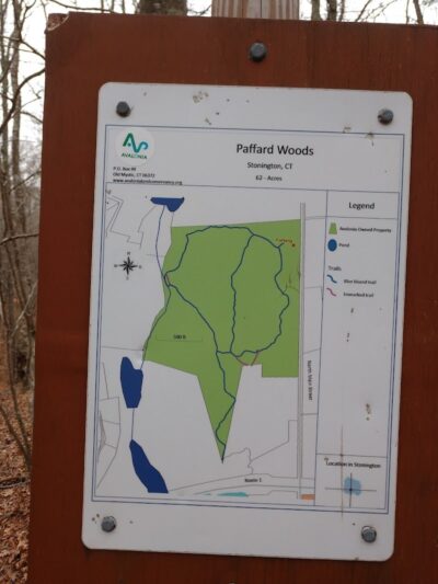 Paffard Woods - Stonington, CT