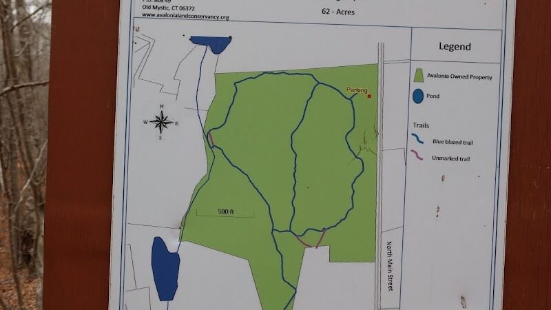 Paffard Woods - Stonington, CT