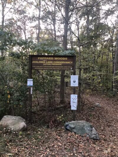 Paffard Woods - Stonington, CT