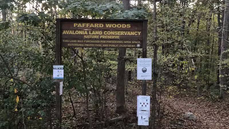 Paffard Woods - Stonington, CT