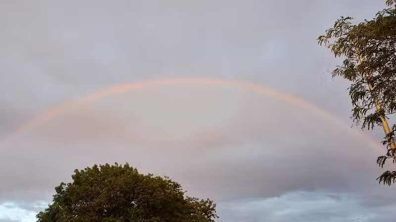 Beagle Bog - Stormville, NY