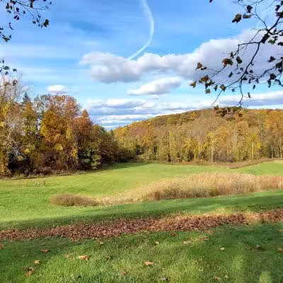 Beagle Bog - Stormville, NY