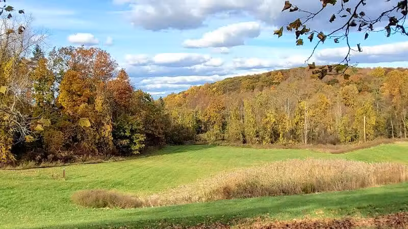 Beagle Bog - Stormville, NY