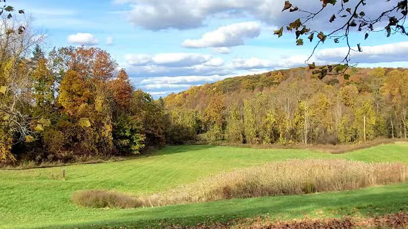 Beagle Bog - Stormville, NY