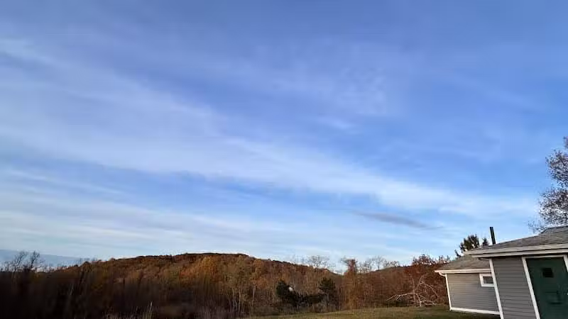 Beagle Bog - Stormville, NY