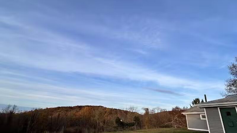 Beagle Bog - Stormville, NY
