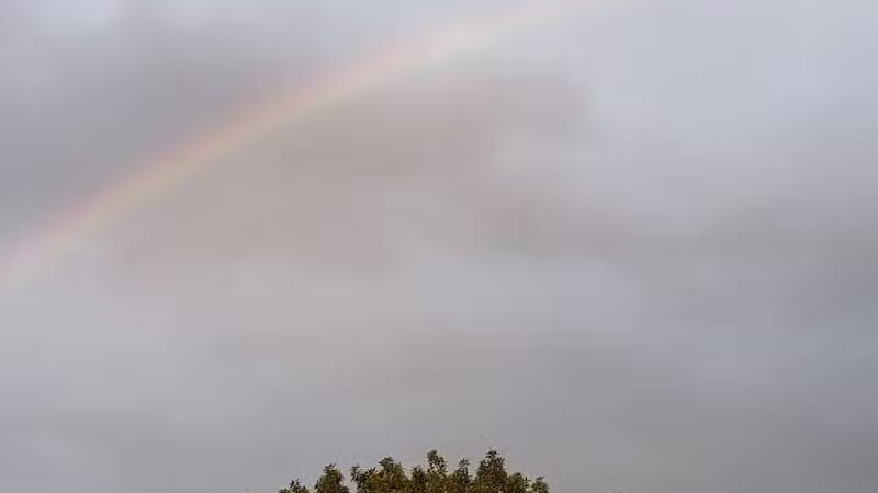 Beagle Bog - Stormville, NY