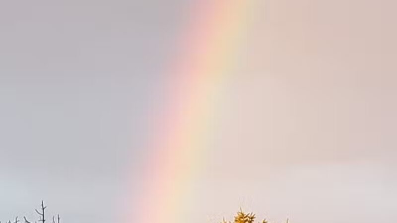 Beagle Bog - Stormville, NY