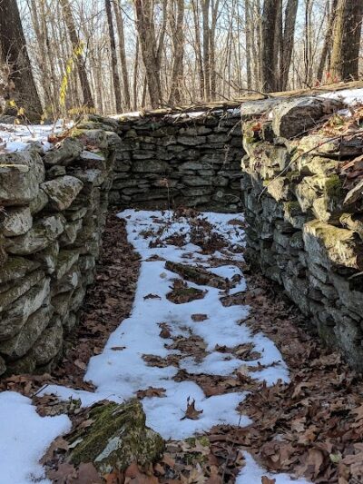 Dunhamtown Forest and Dunham Woods Preserve - Storrs, CT