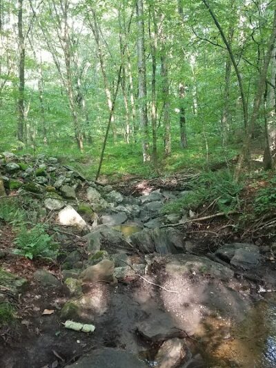 Dunhamtown Forest and Dunham Woods Preserve - Storrs, CT