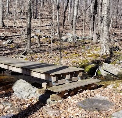 Dunhamtown Forest and Dunham Woods Preserve - Storrs, CT