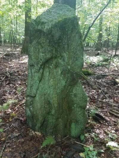 Dunhamtown Forest and Dunham Woods Preserve - Storrs, CT