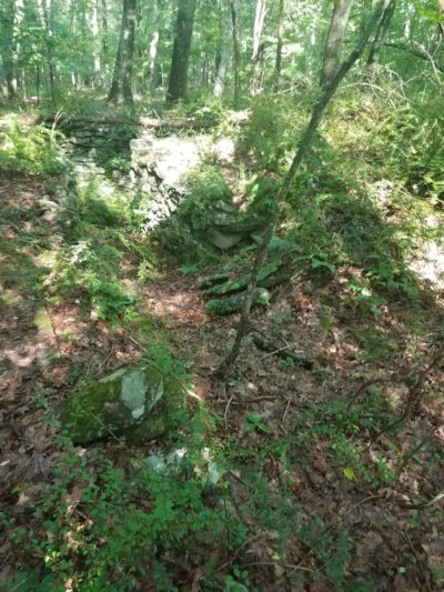 Dunhamtown Forest and Dunham Woods Preserve - Storrs, CT