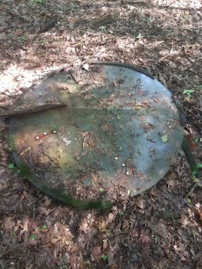 Dunhamtown Forest and Dunham Woods Preserve - Storrs, CT