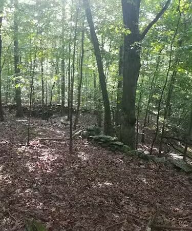 Dunhamtown Forest and Dunham Woods Preserve - Storrs, CT