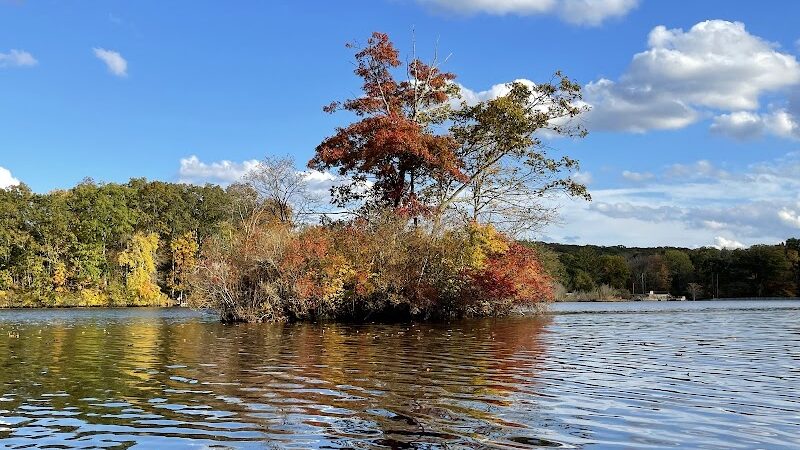 Eagleville Preserve - Storrs, CT
