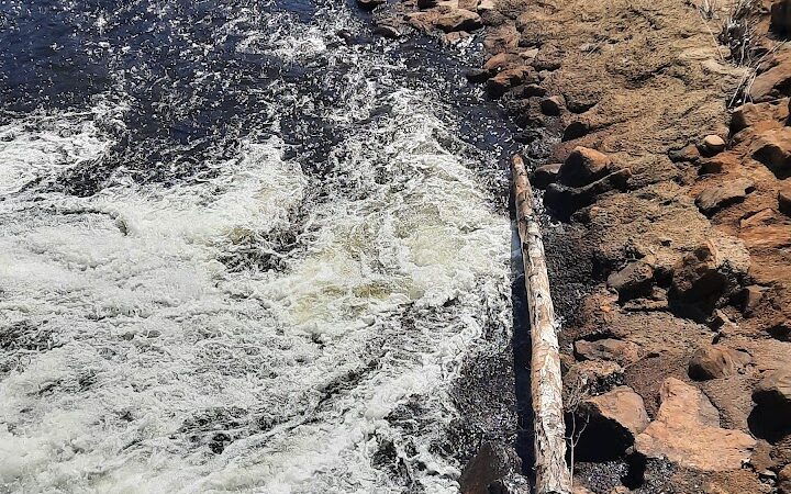 Eagleville Preserve - Storrs, CT