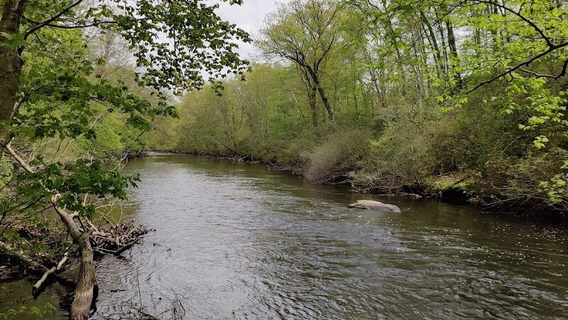 Eagleville Preserve - Storrs, CT