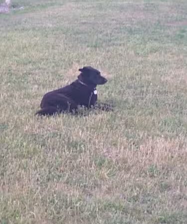 Eagleville Preserve - Storrs, CT