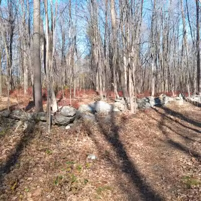 Fifty-Foot Cliff Preserve Trailhead - Storrs, CT