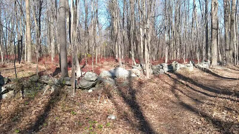 Fifty-Foot Cliff Preserve Trailhead - Storrs, CT