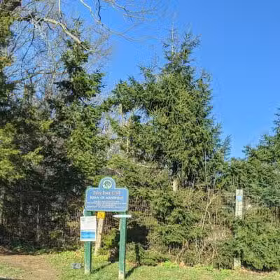 Fifty-Foot Cliff Preserve Trailhead - Storrs, CT
