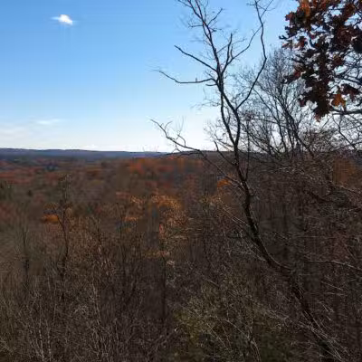 Fifty-Foot Cliff Preserve Trailhead - Storrs, CT