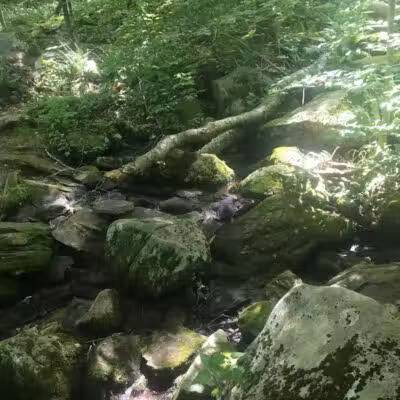 Fifty-Foot Cliff Preserve Trailhead - Storrs, CT