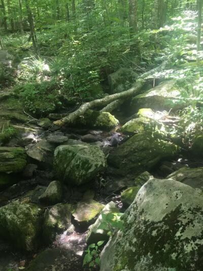Fifty-Foot Cliff Preserve Trailhead - Storrs, CT