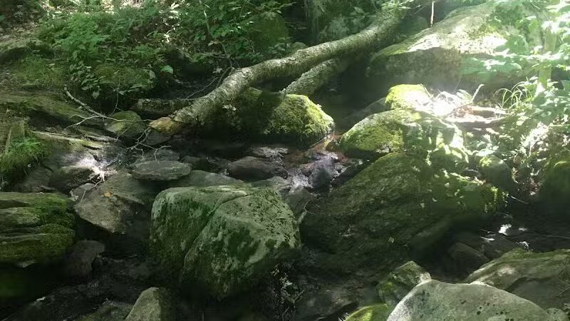 Fifty-Foot Cliff Preserve Trailhead - Storrs, CT