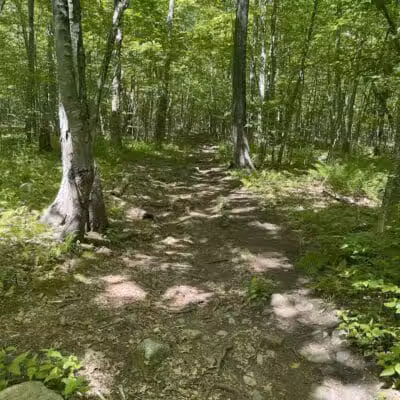 Fifty-Foot Cliff Preserve Trailhead - Storrs, CT