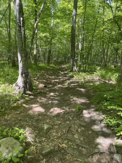 Fifty-Foot Cliff Preserve Trailhead - Storrs, CT
