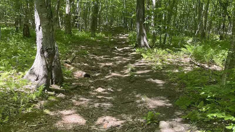 Fifty-Foot Cliff Preserve Trailhead - Storrs, CT