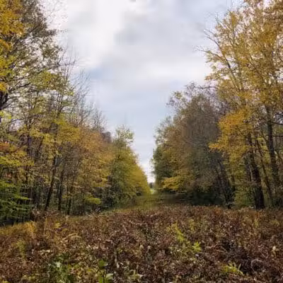 Fifty-Foot Cliff Preserve Trailhead - Storrs, CT