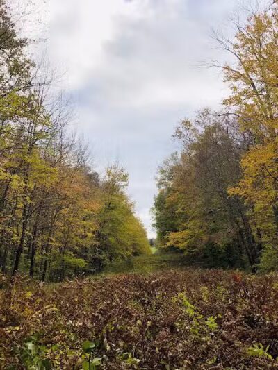 Fifty-Foot Cliff Preserve Trailhead - Storrs, CT