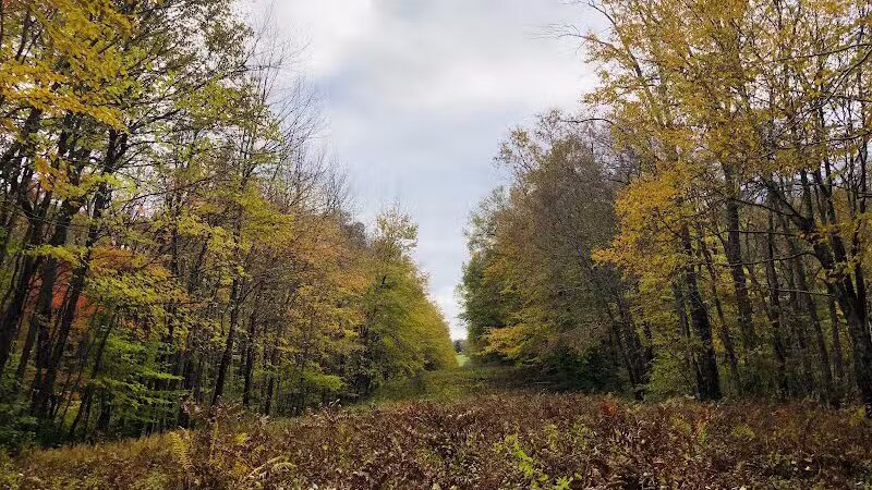 Fifty-Foot Cliff Preserve Trailhead - Storrs, CT