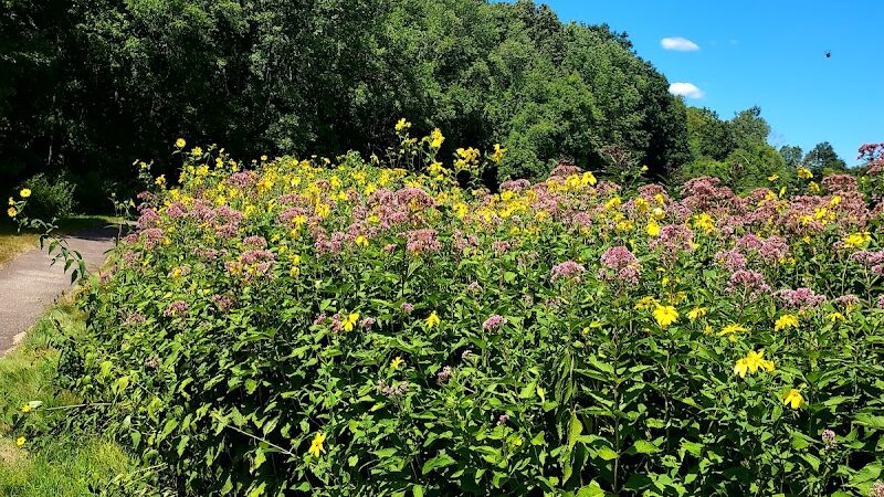 Merrow Meadow Park - Storrs, CT