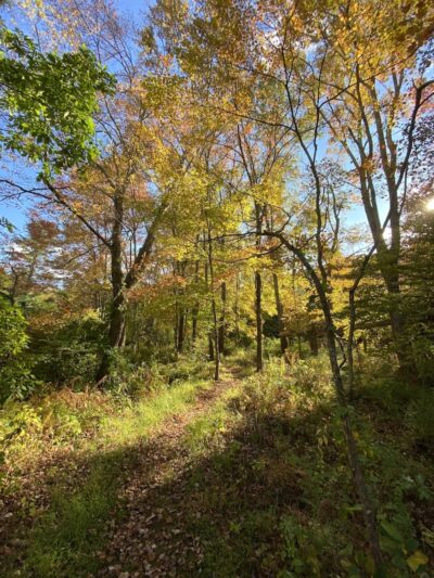 Merrow Meadow Park - Storrs, CT